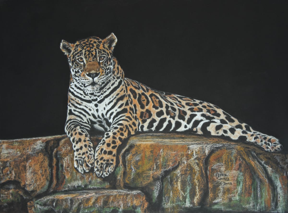 Jaguar Rock by Anne Cowell 