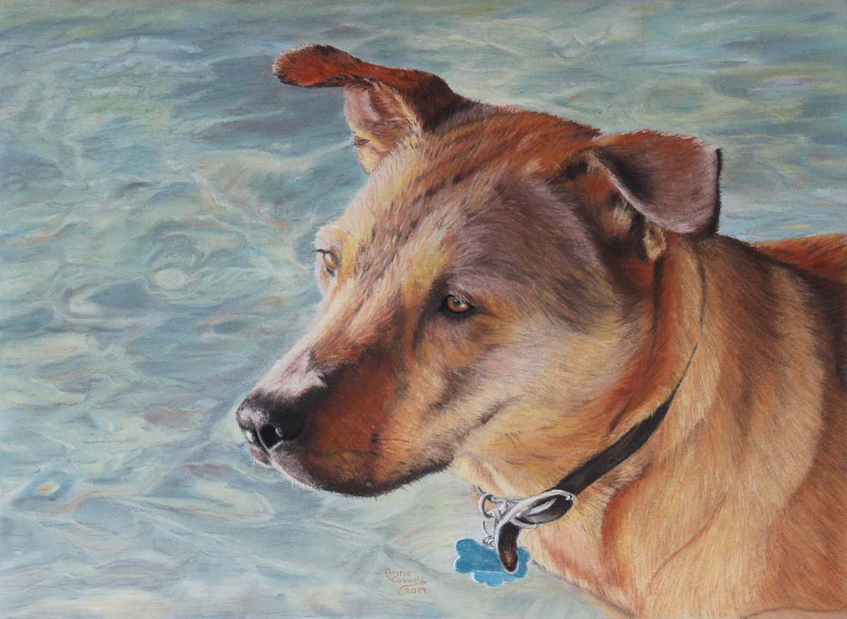 Maizey, Image 1.