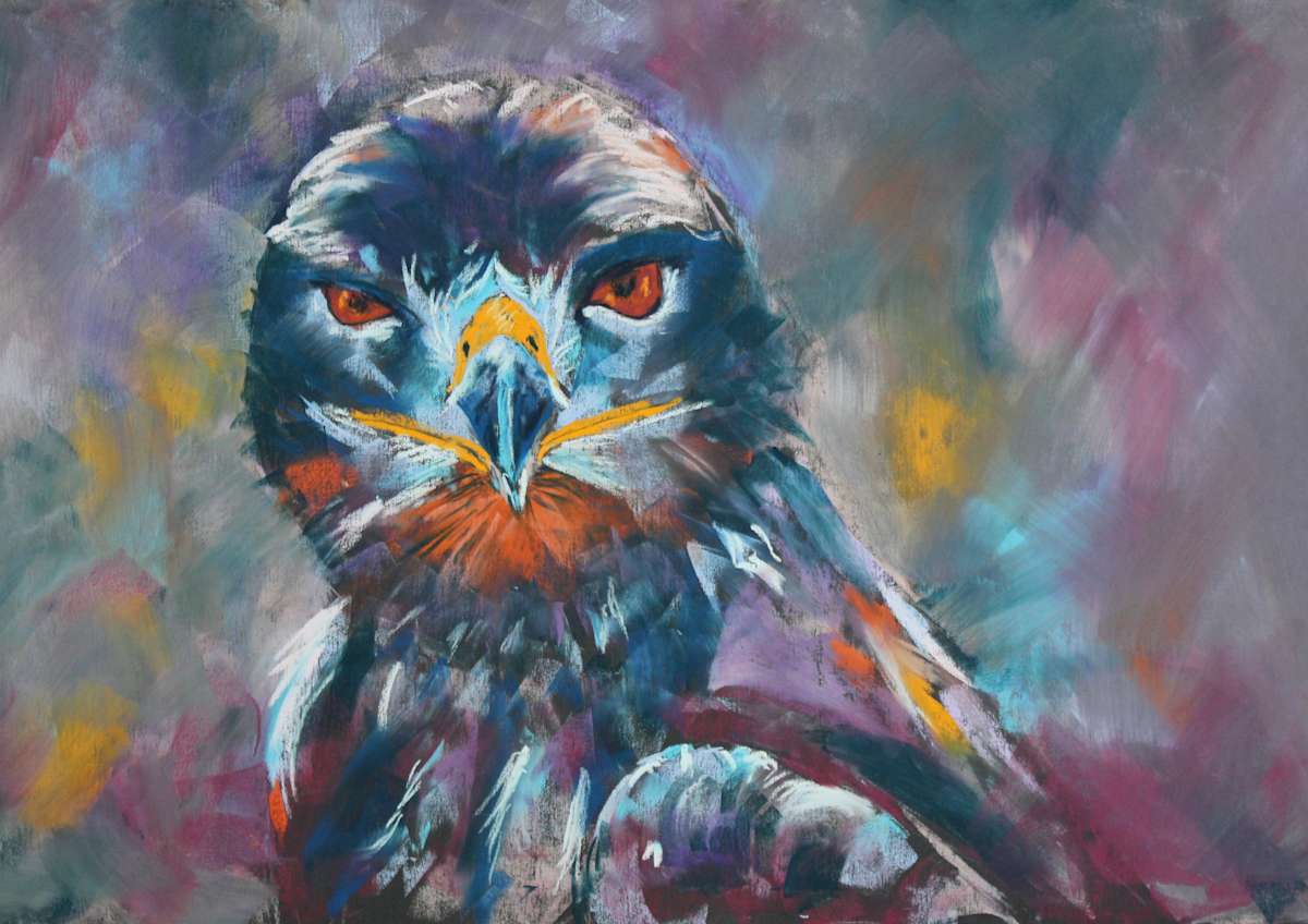 Intense Falcon, Image 1.