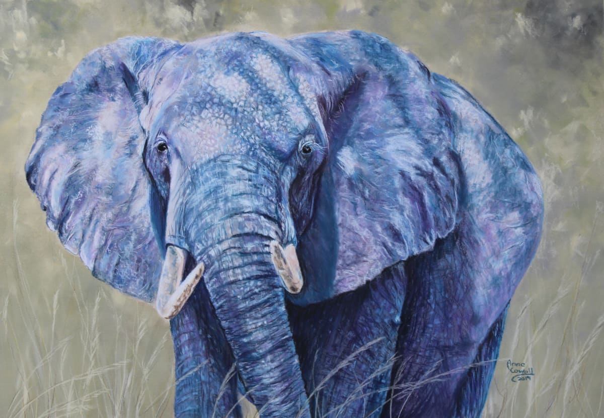 Shaded Elephant by Anne Cowell 