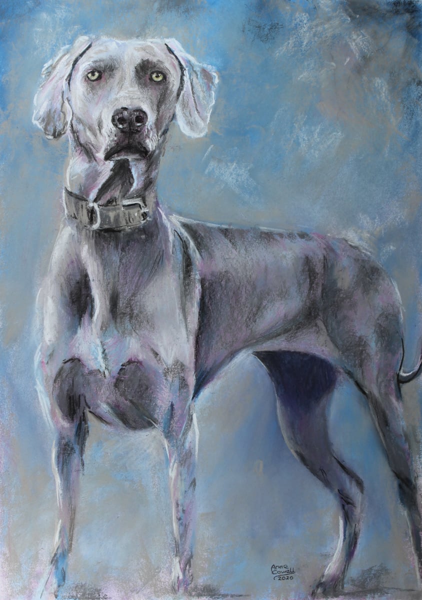 200919 Roxy2, Image 1.