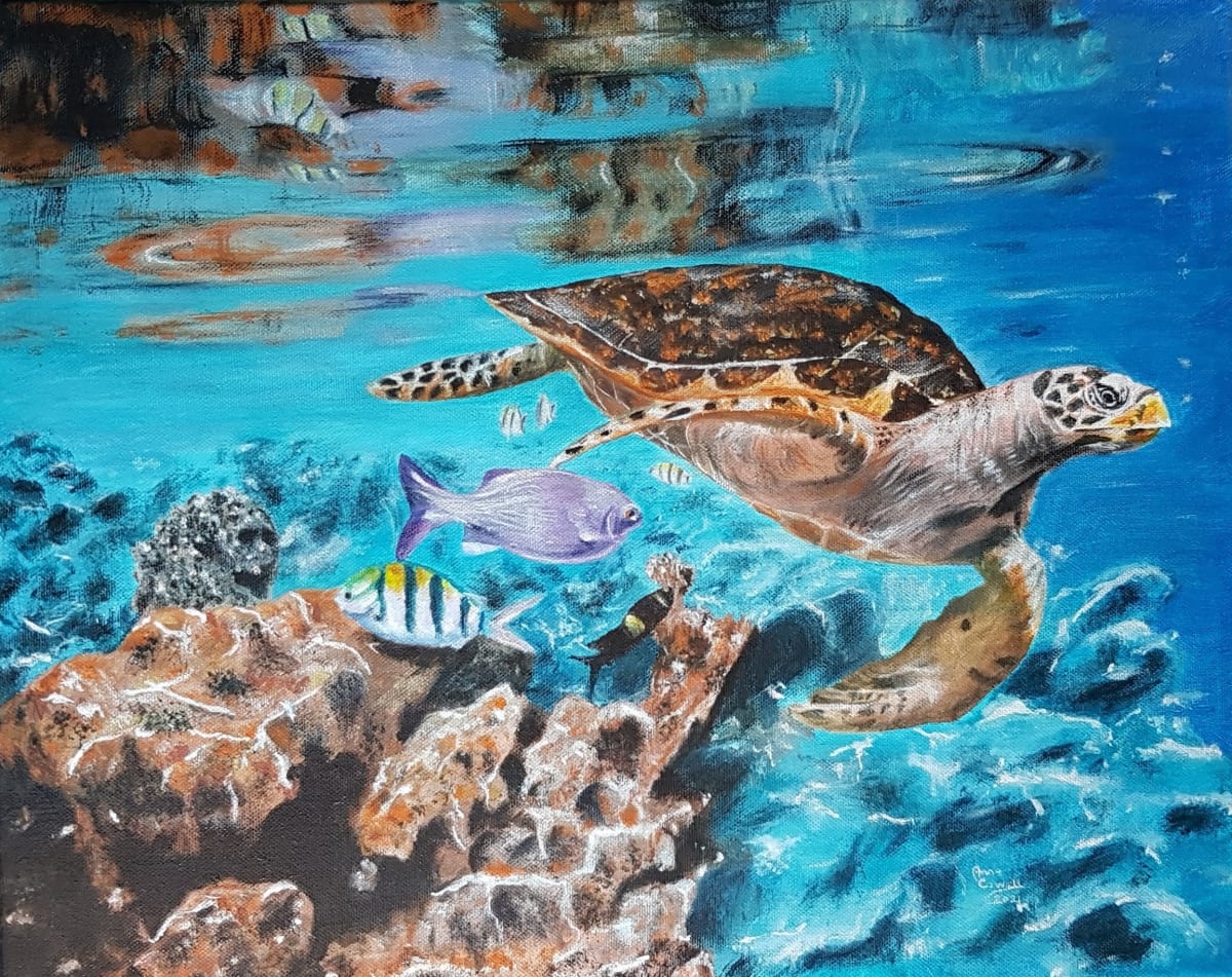 Turtle Tour by Anne Cowell 