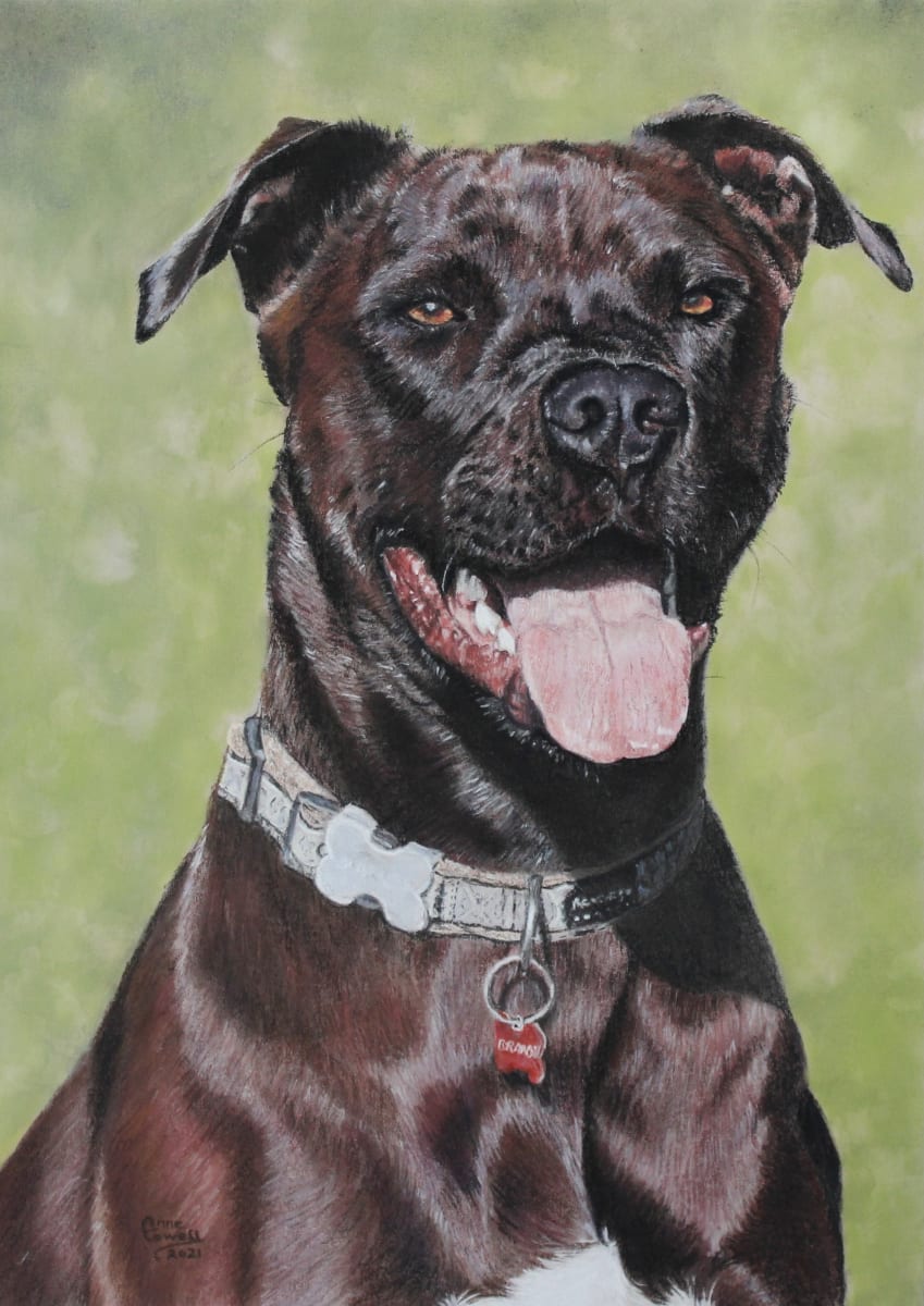 Brandy by Anne Cowell  Image: This gorgeous girl was great to paint, especially as I have met her. Loved all the light and shadows and being able to see the wonderful muscles in her shoulders.