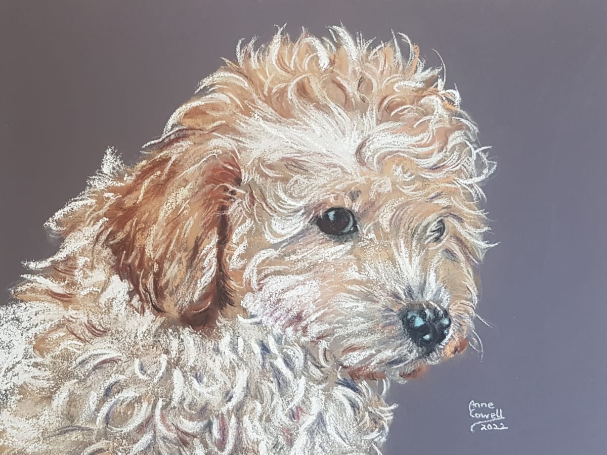 Jessie Pup by Anne Cowell 