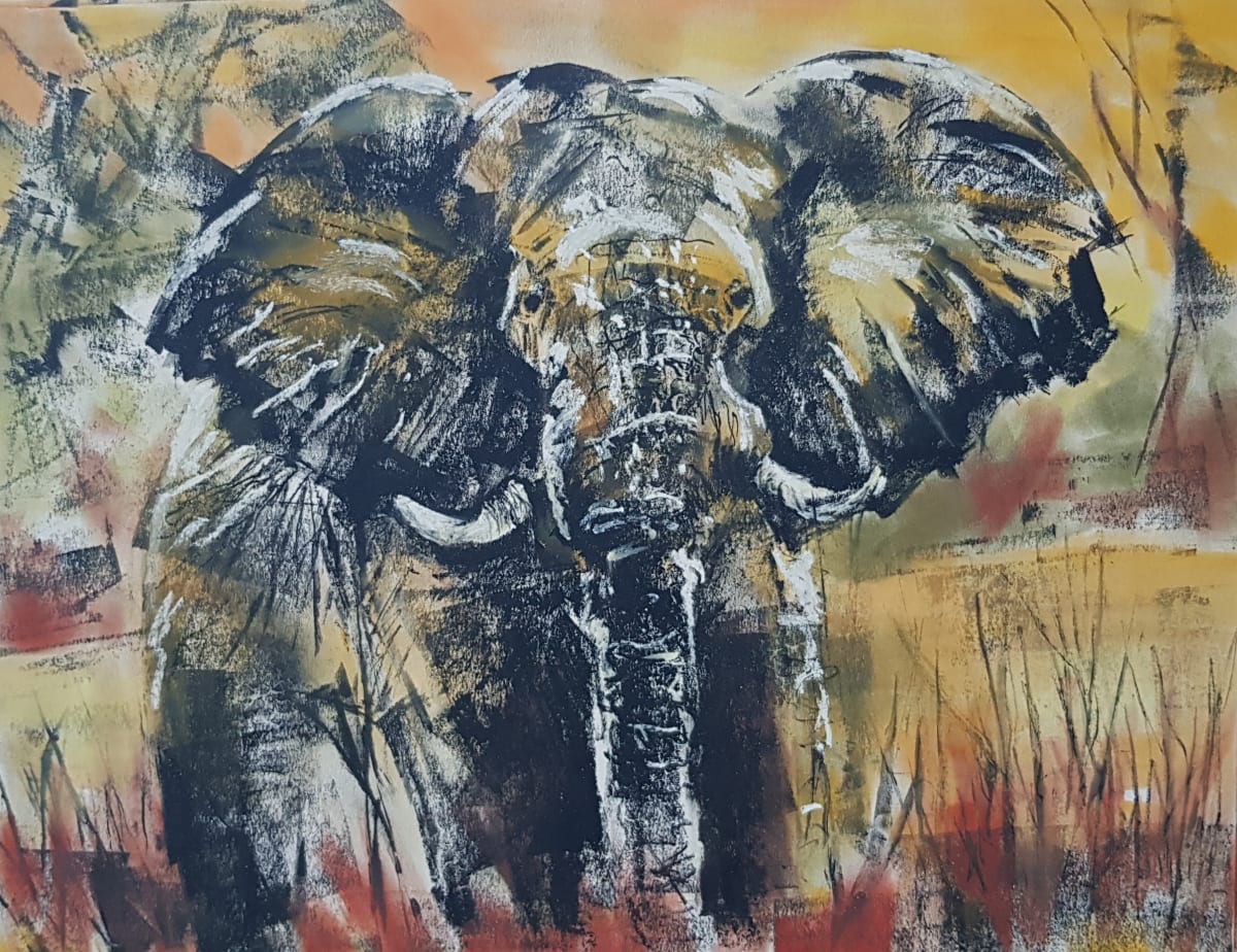 Elephant Dusk by Anne Cowell, Image 2.