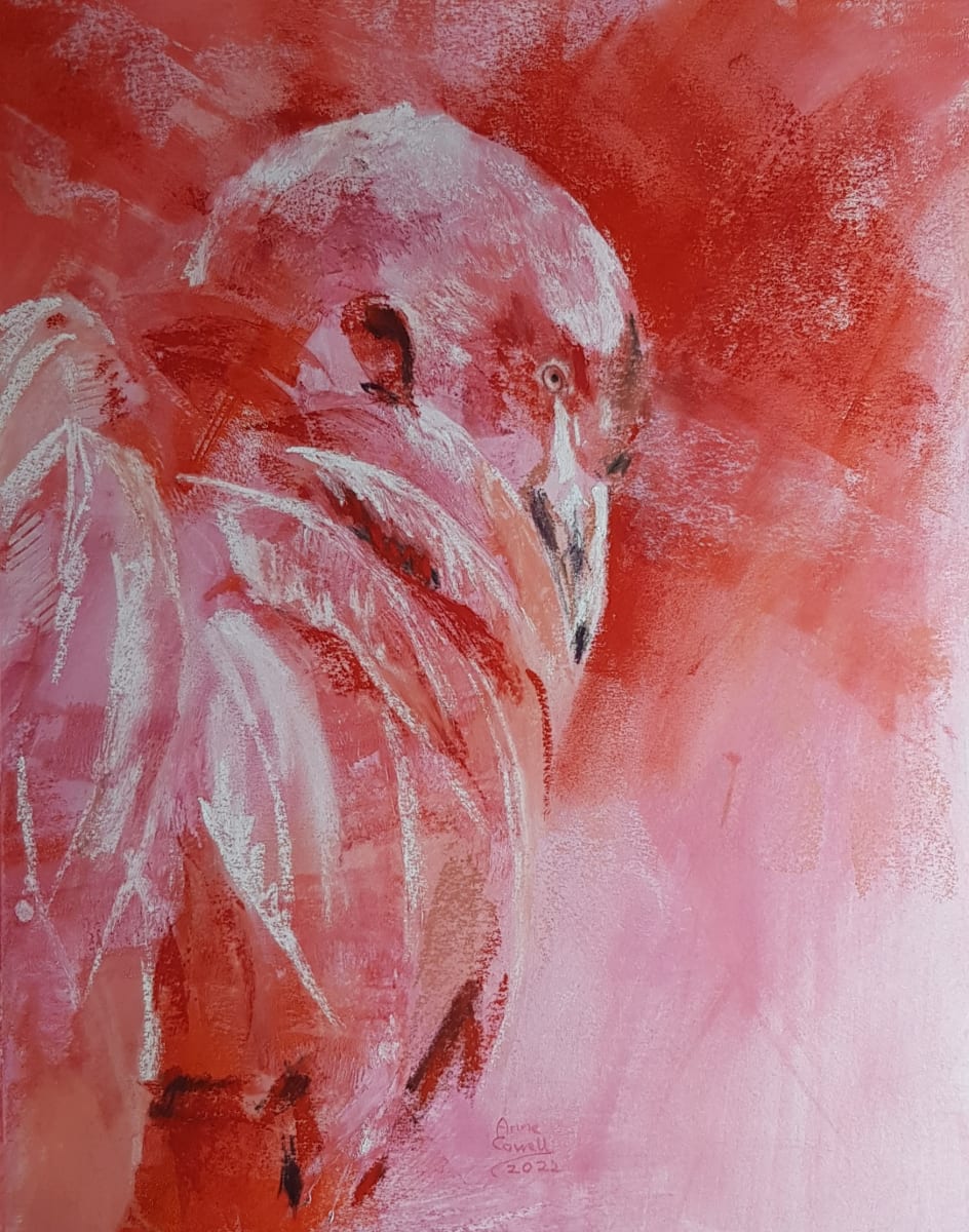 Blushing Feathers by Anne Cowell 