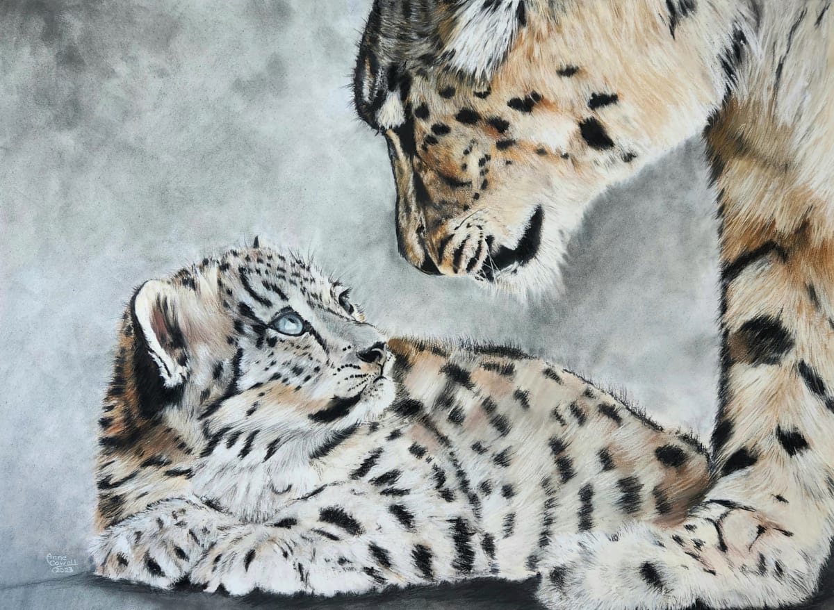 Snow Leopards by Anne Cowell, Image 1.