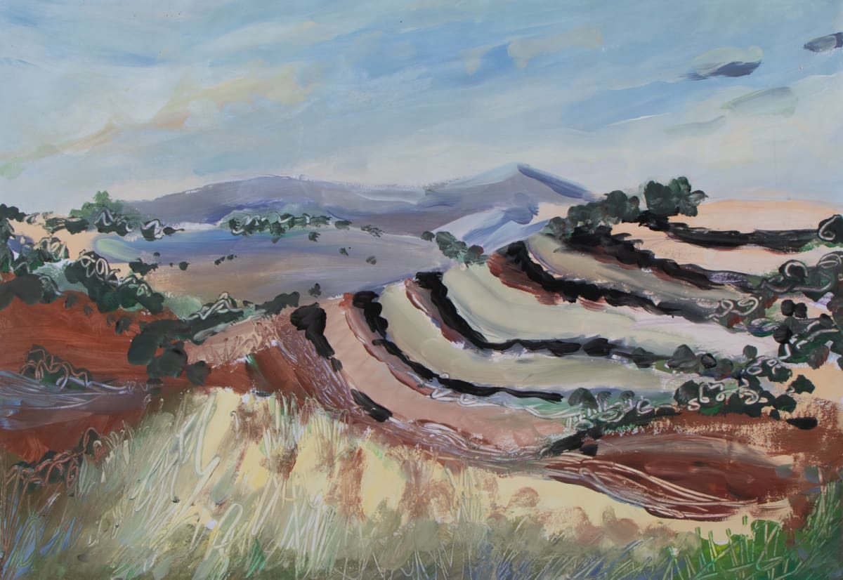 Charlton Gully by Vicki Bosisto 