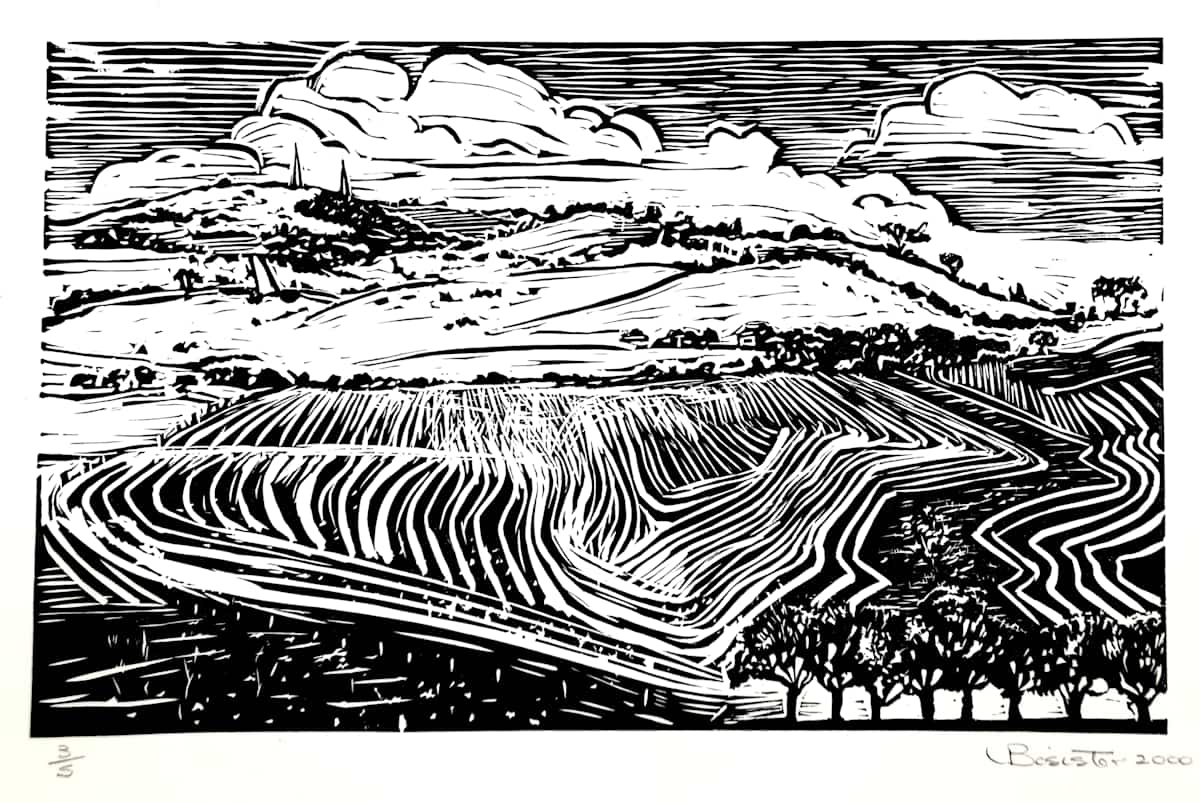 Winters Hill by Vicki Bosisto, Image 1.