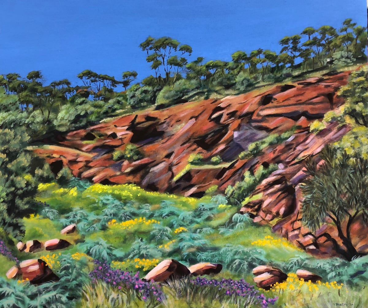 Belair Gully, Image 1.