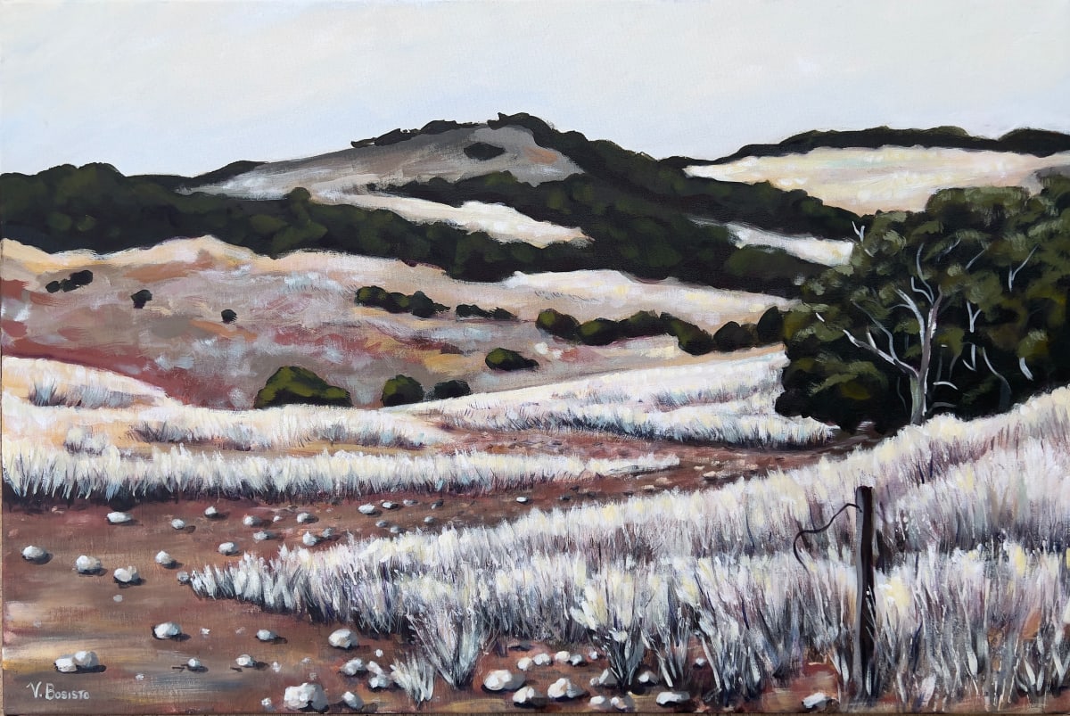 The Dry by Vicki Bosisto  Image: Amidst the harsh grip of drought, the rural landscape surrenders to the relentless sun, as dry grass stands ghostly white against the parched earth. A haunting reminder of nature's resilience and the enduring spirit of those who weather its trials.