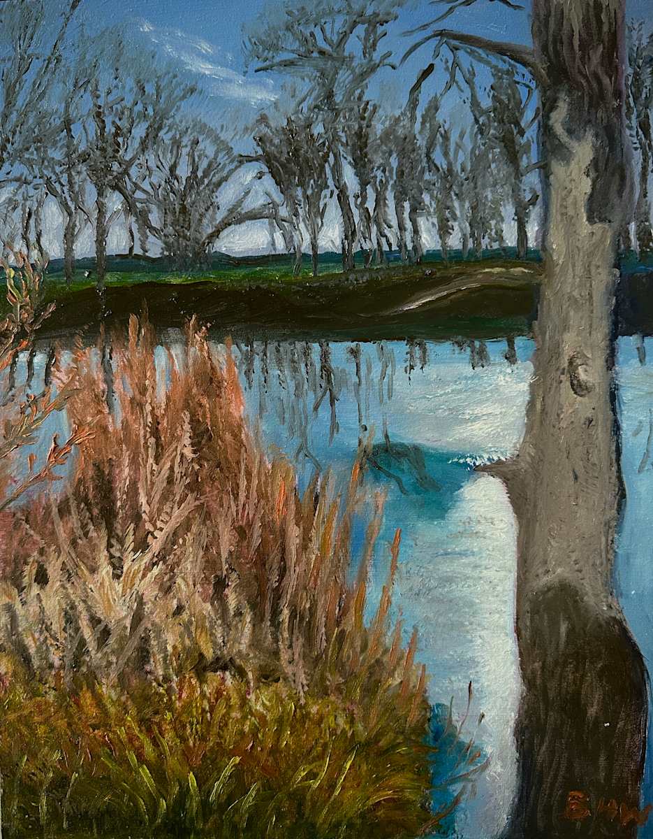 Afternoon Ice by Brian Hugh Wagner 