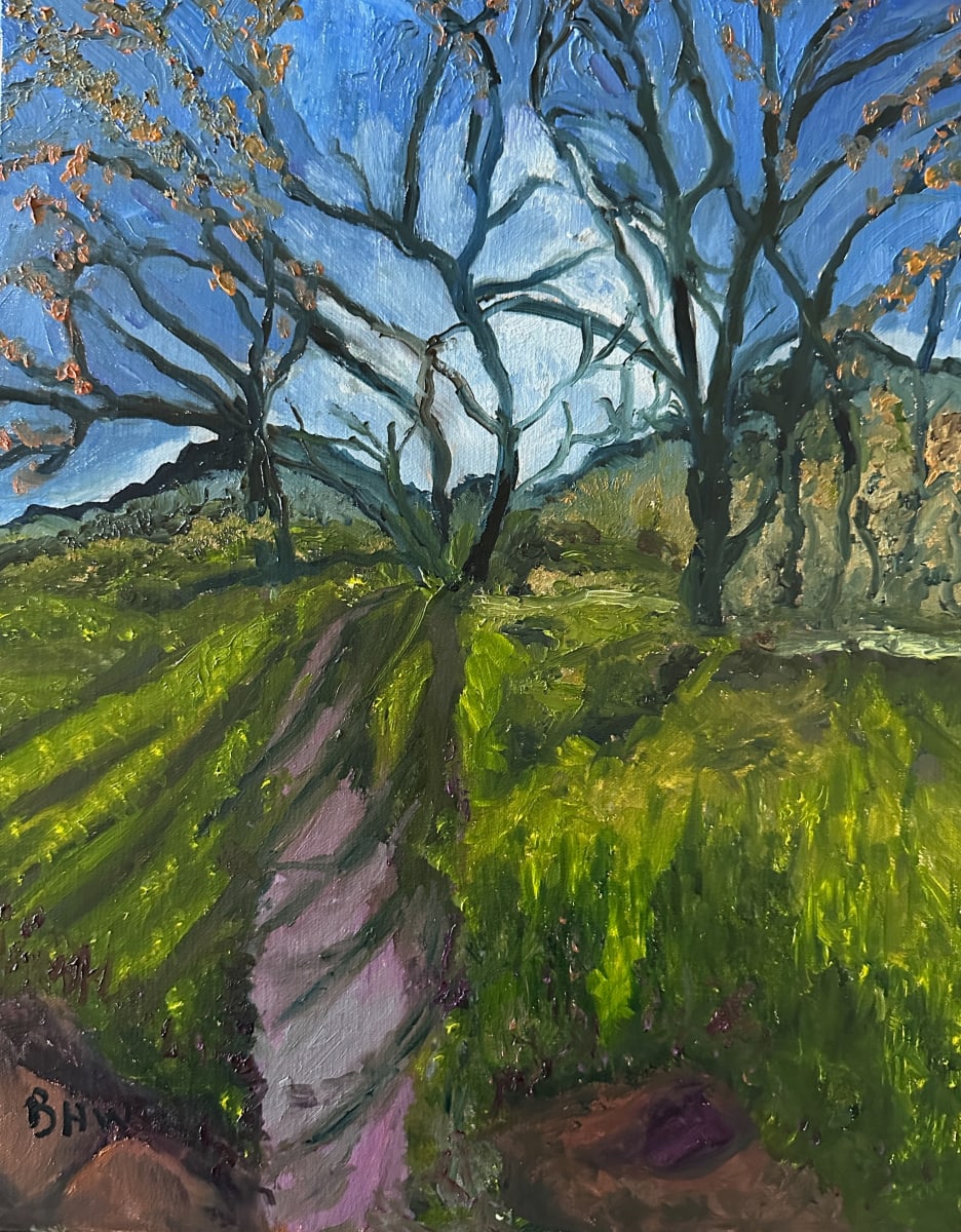 Devil's Backbone by Brian Hugh Wagner, Image 1.