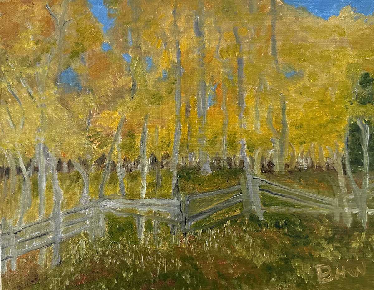 Fenced Freedom by Brian Hugh Wagner 