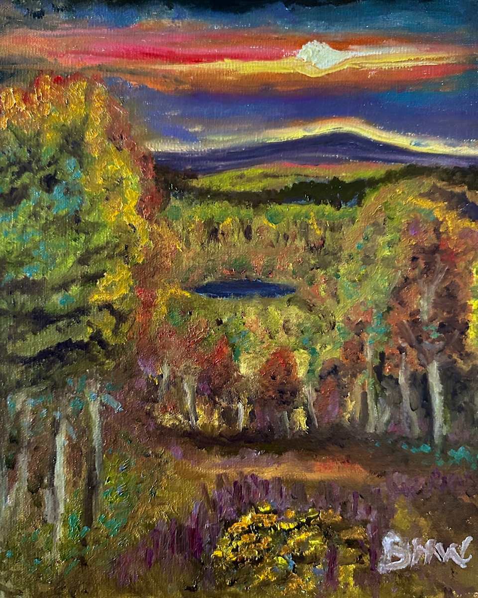 Fire in the Sky by Brian Hugh Wagner 