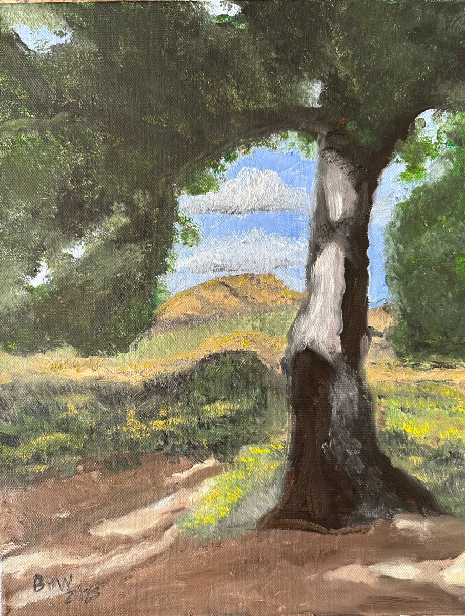 Shade by Brian Hugh Wagner  Image: Shade