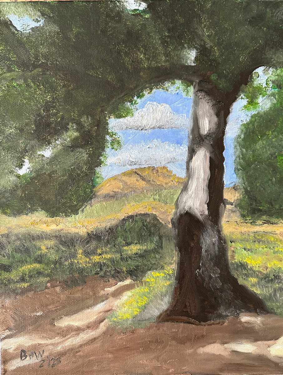 Shade by Brian Hugh Wagner, Image 1.