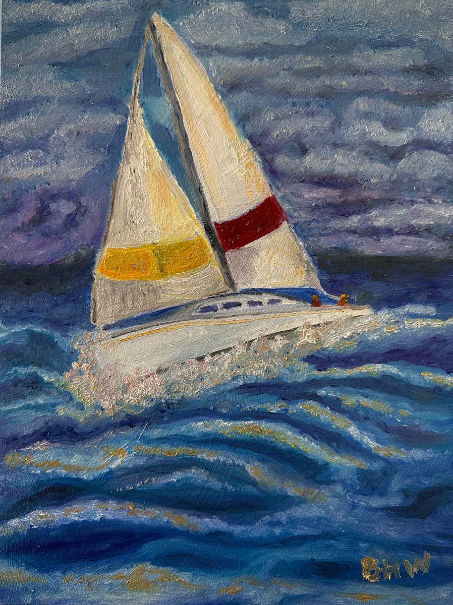 Riding the Storm by Brian Hugh Wagner 