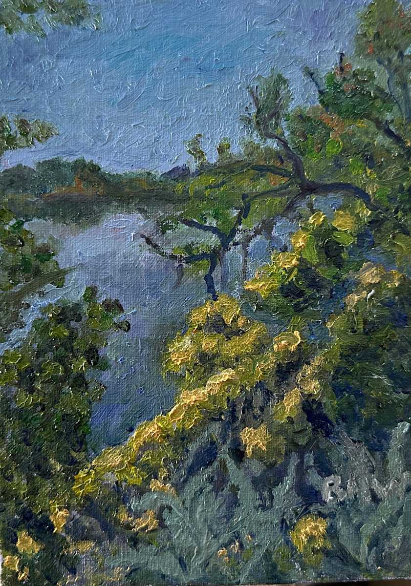 Rabbit Bushes by Brian Hugh Wagner 