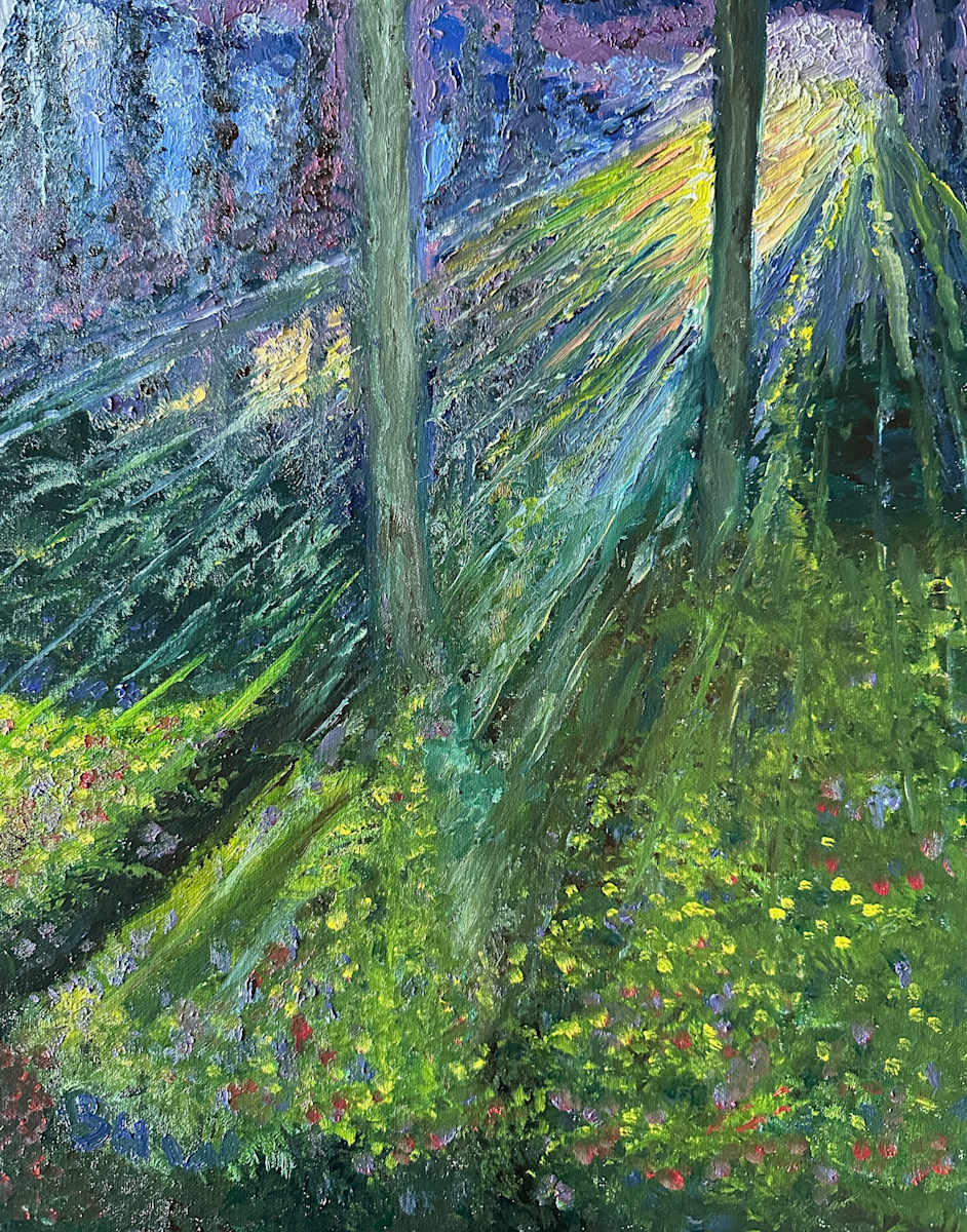 Light Shower by Brian Hugh Wagner, Image 1.