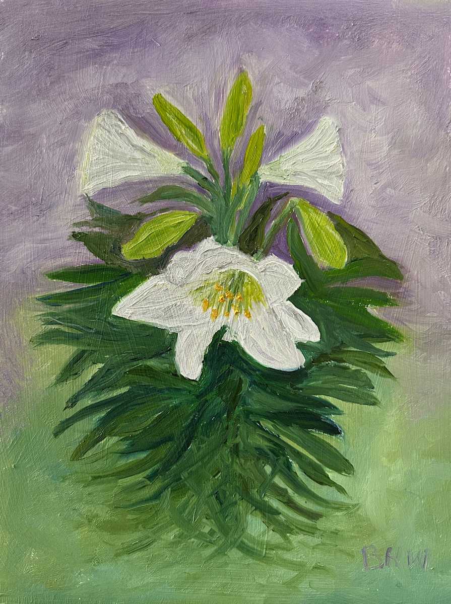 Lily White by Brian Hugh Wagner 