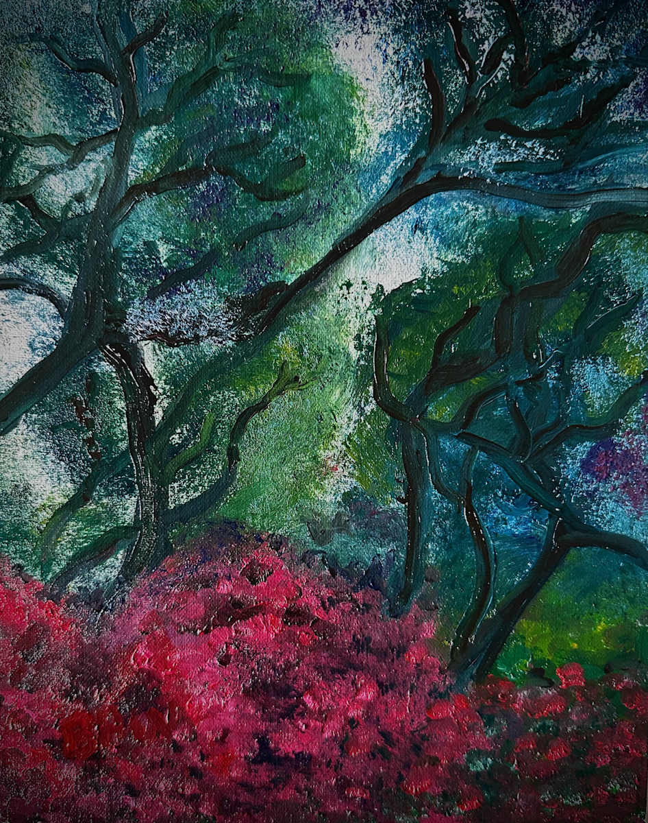 Mill Valley Forest by Brian Hugh Wagner, Image 1.