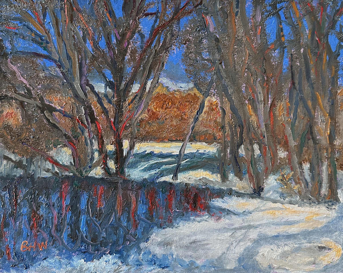 Native Winter by Brian Hugh Wagner, Image 1.