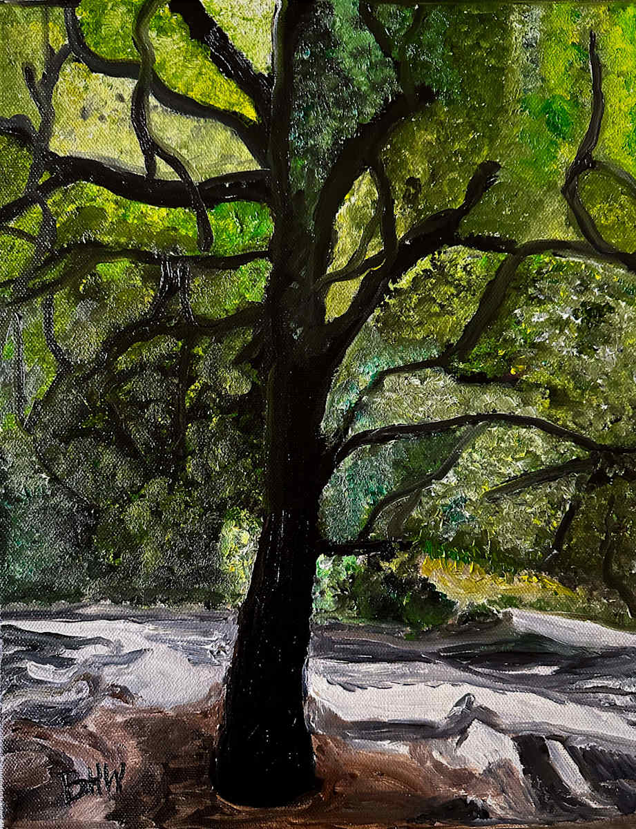 No Cal Hike by Brian Hugh Wagner, Image 1.
