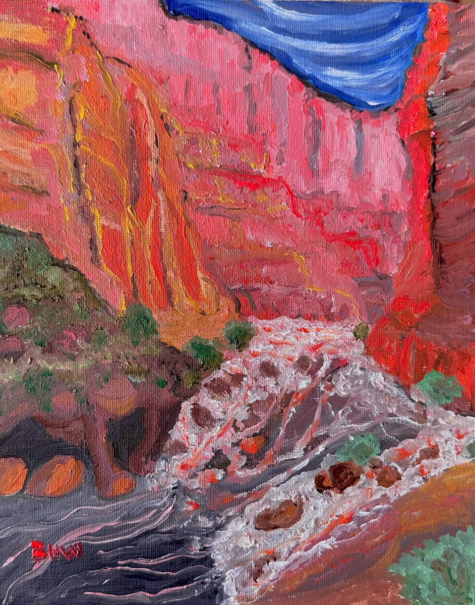 Pink Canyon by Brian Hugh Wagner 
