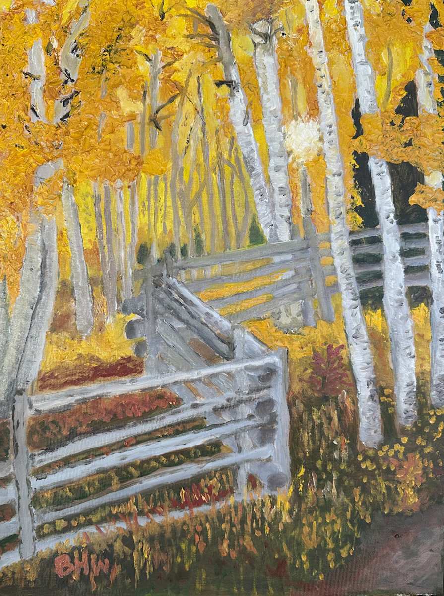 Sun Fence by Brian Hugh Wagner, Image 1.