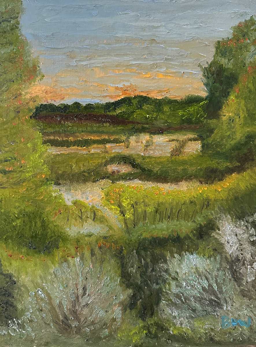 Wetlands at Daybreak by Brian Hugh Wagner 