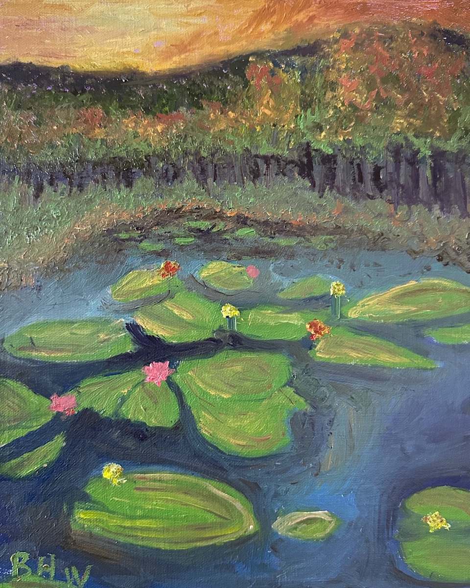 Wild Water Lilies by Brian Hugh Wagner 