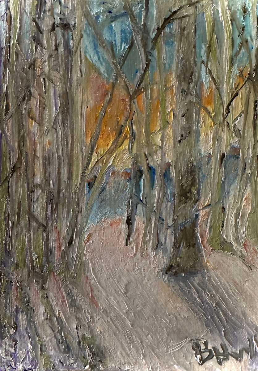 Winter Light 1 by Brian Hugh Wagner 