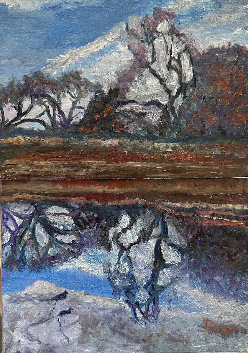 Winter Reflections by Brian Hugh Wagner 