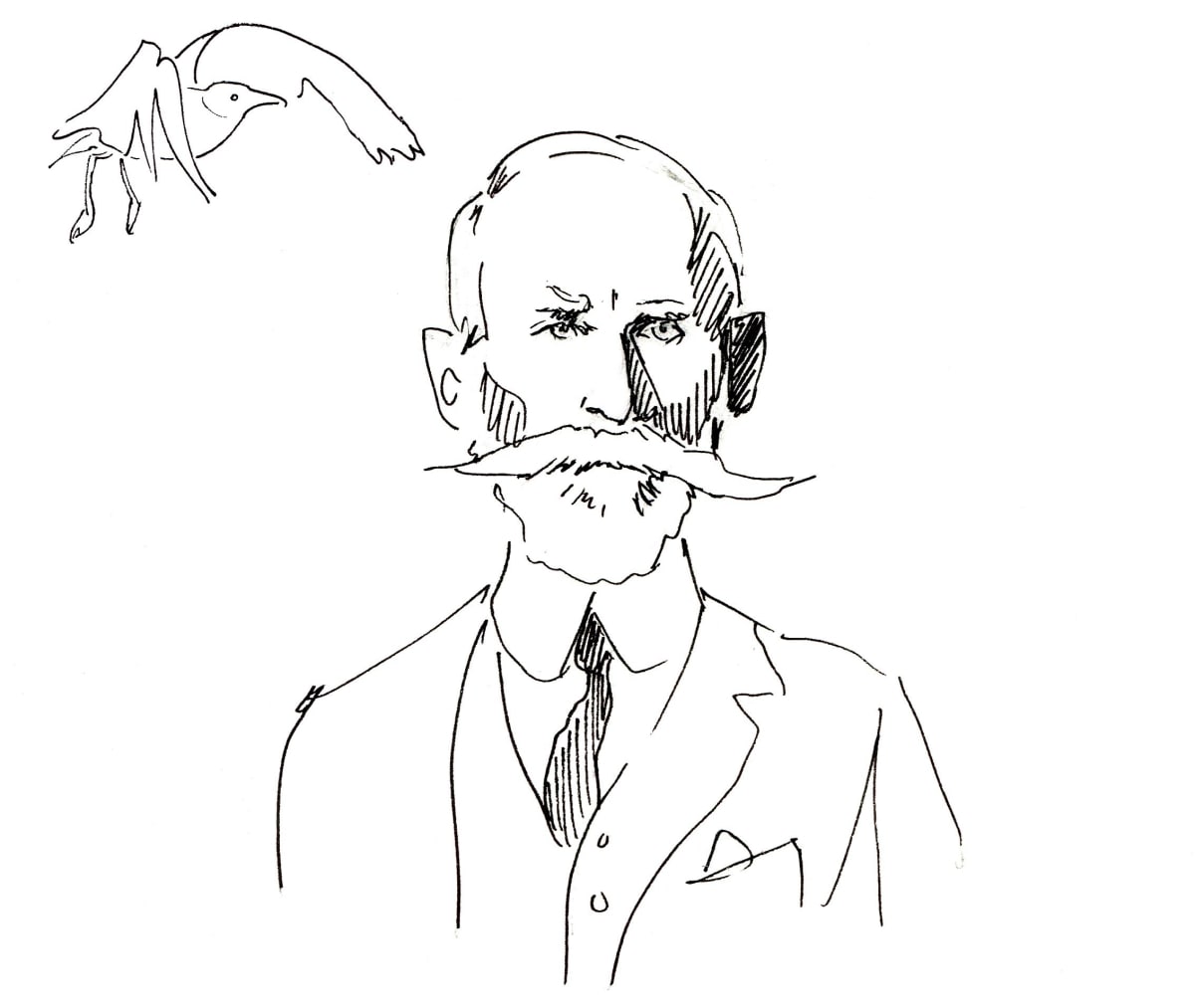 Jonathan Dwight, gull taxonomist by Abby McBride 