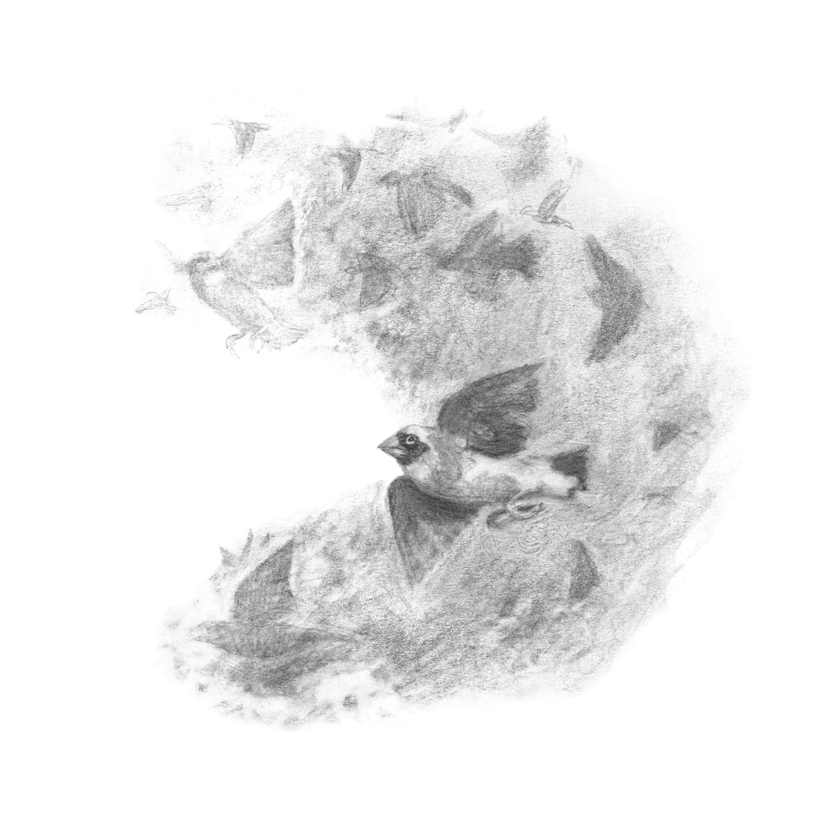 Abundance by Abby McBride, Image 3.