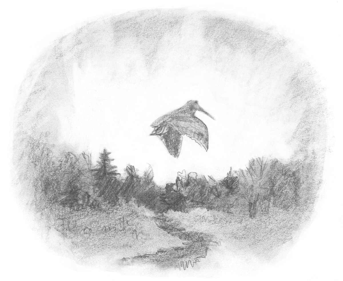 Crepuscular by Abby McBride, Image 11.