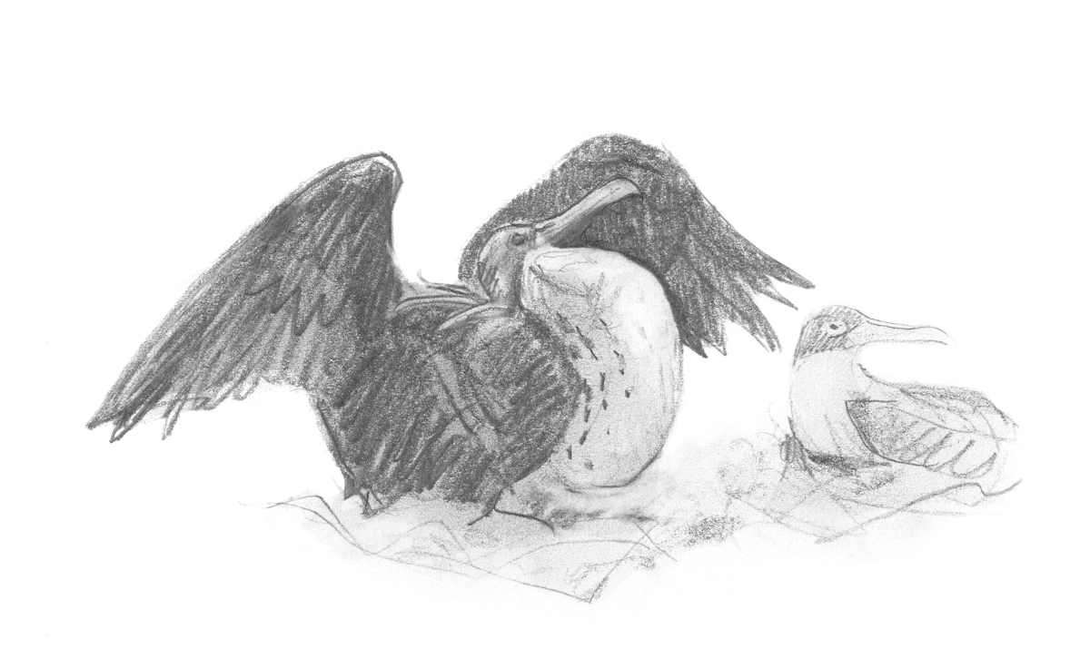 Display by Abby McBride, Image 13.