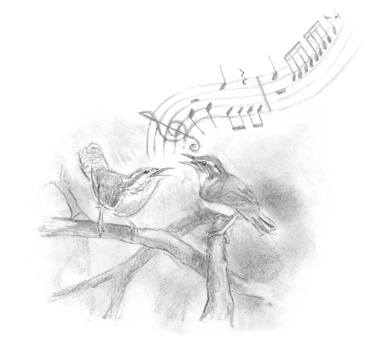 Duetting by Abby McBride, Image 15.