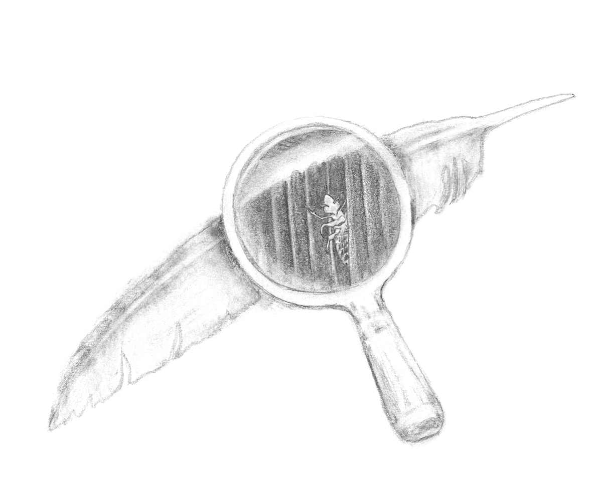 Ectoparasite by Abby McBride, Image 16.