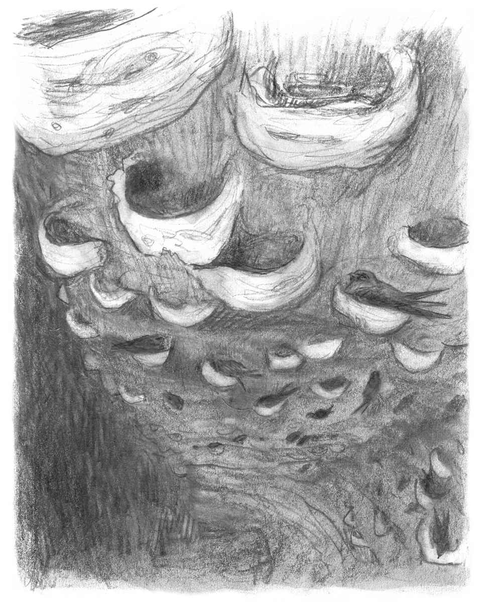 Edibility by Abby McBride, Image 18.