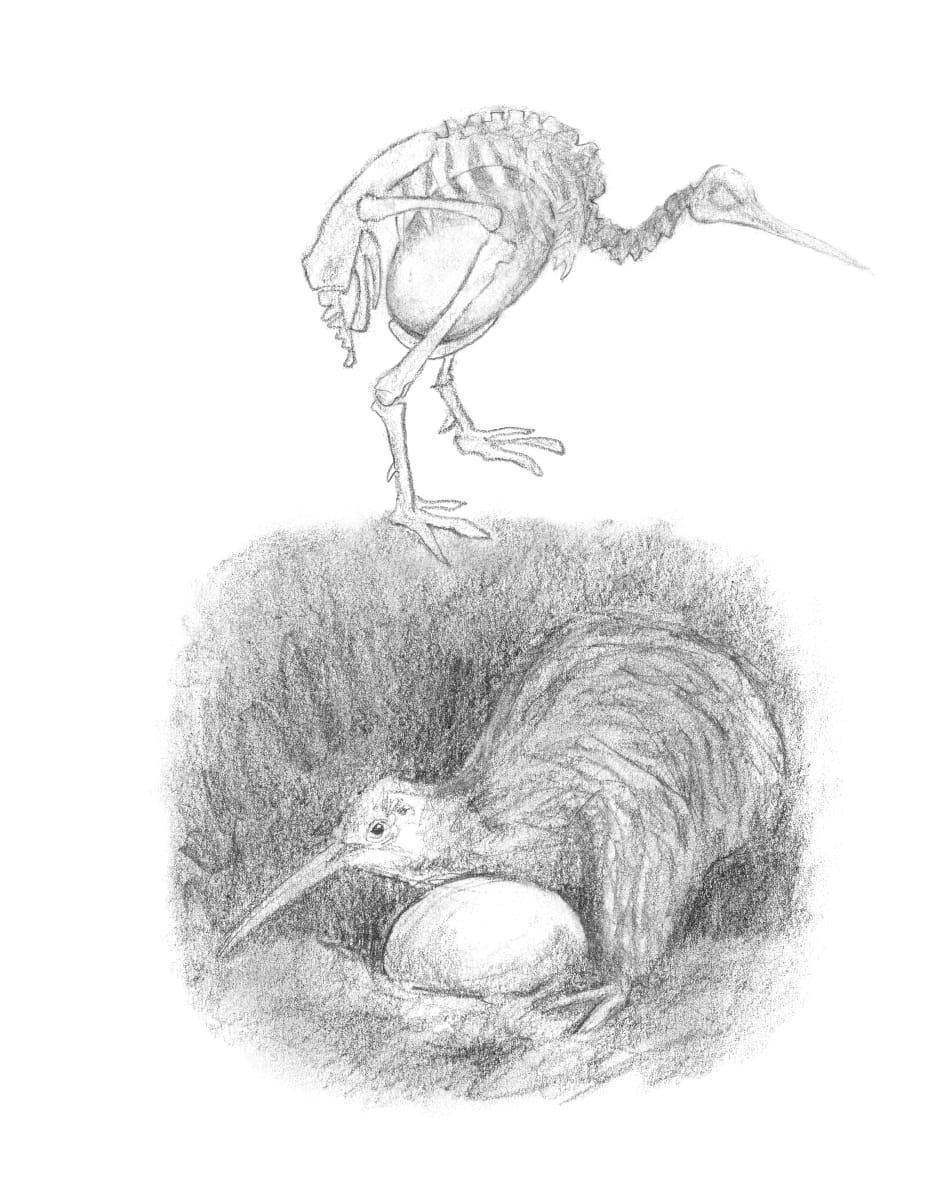 Eggs by Abby McBride, Image 17.