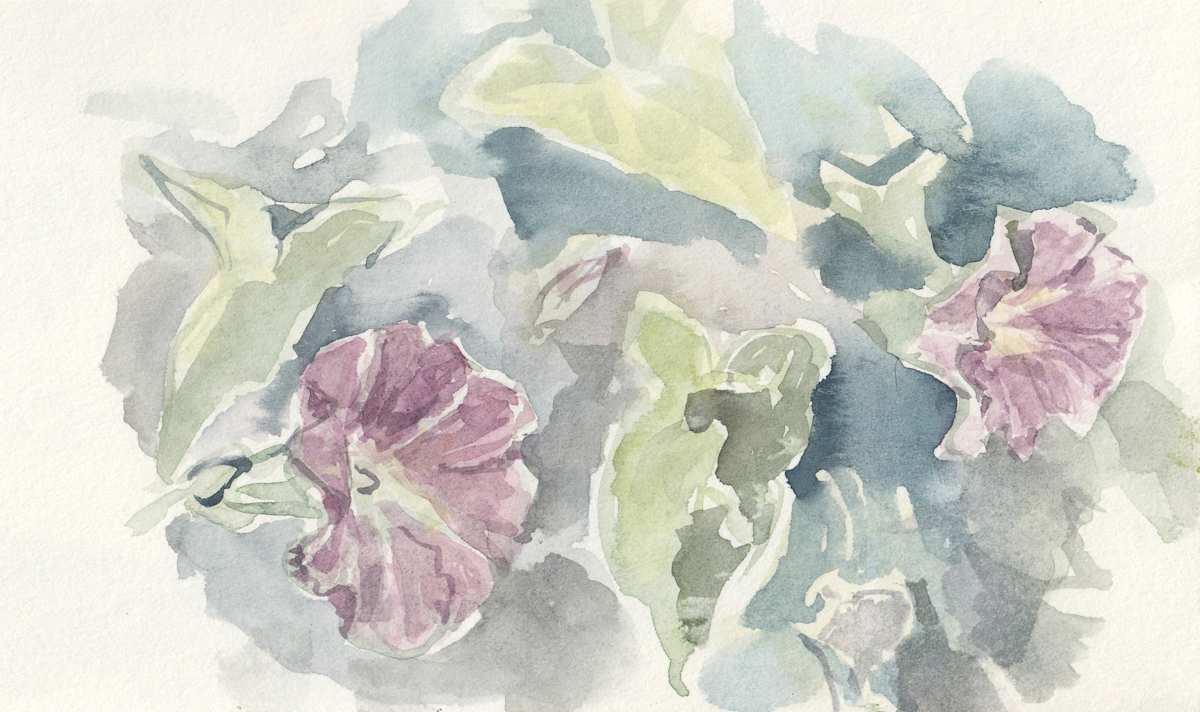Bindweed by Abby McBride, Image 6.