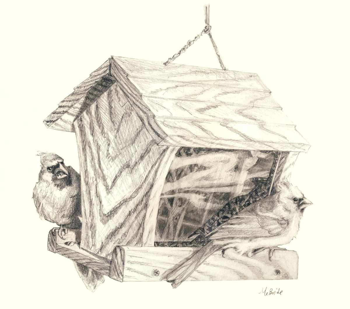 Cardinal Feeder, Image 5.