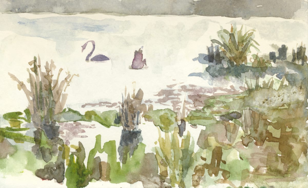 Black swans by Abby McBride, Image 2.