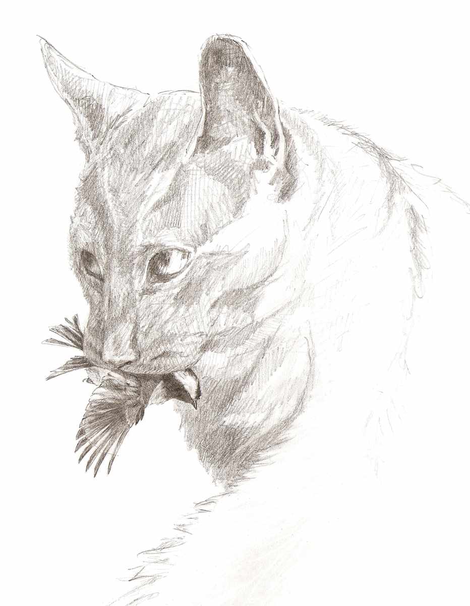 Cat with Chickadee, Image 10.