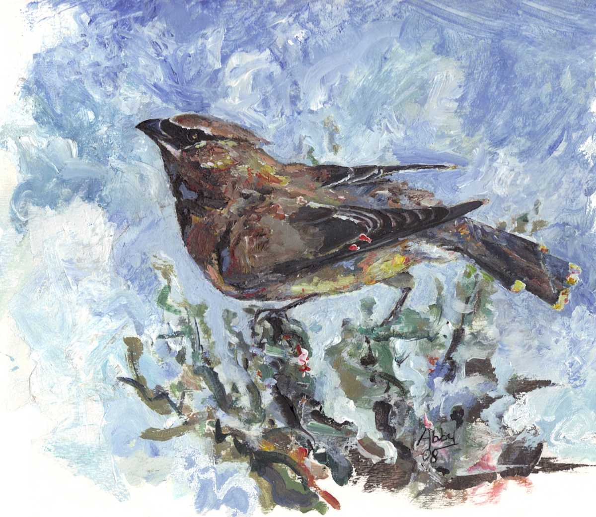 Cedar Waxwing, Image 12.