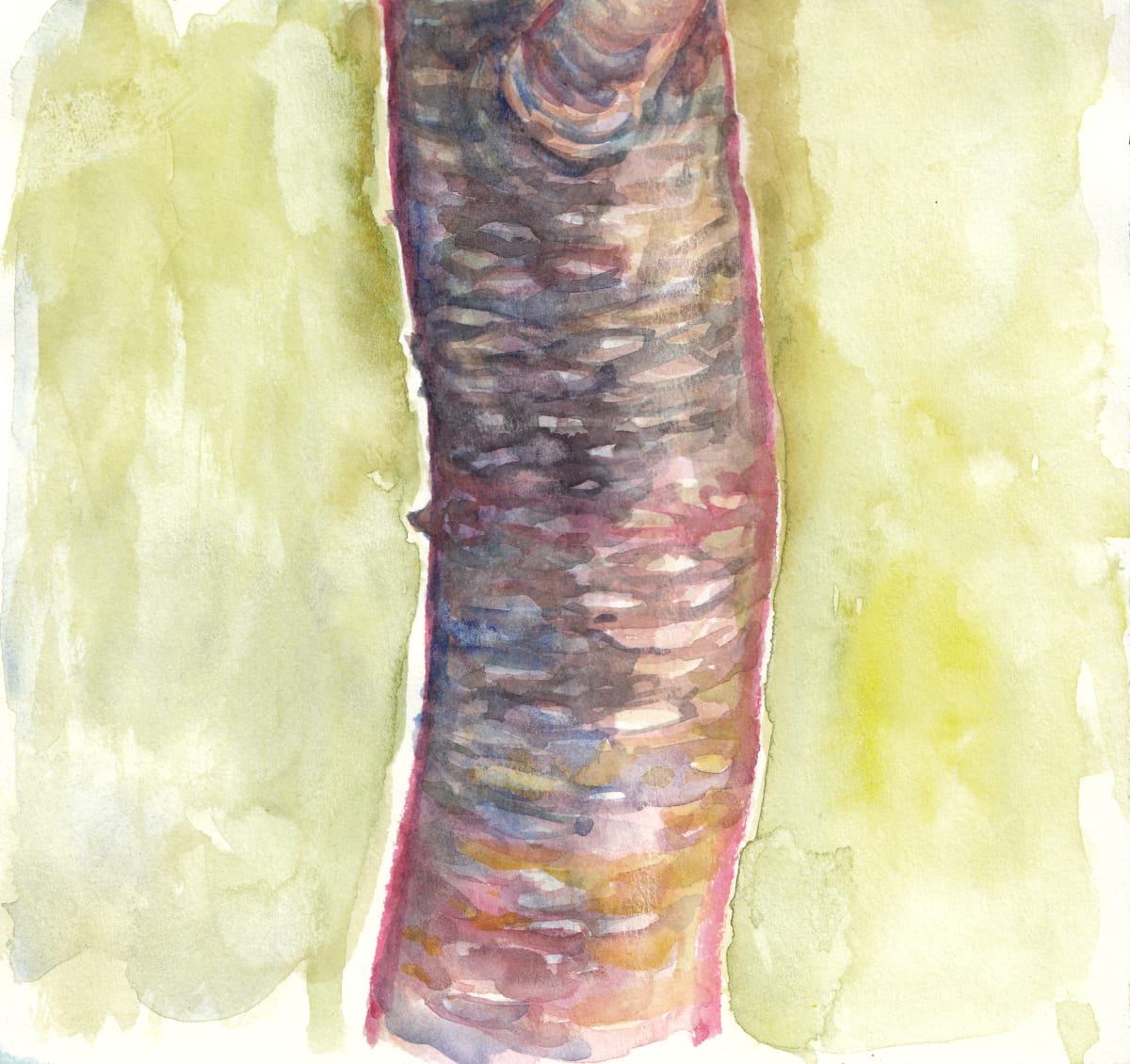 Cherry Trunk by Abby McBride, Image 1.