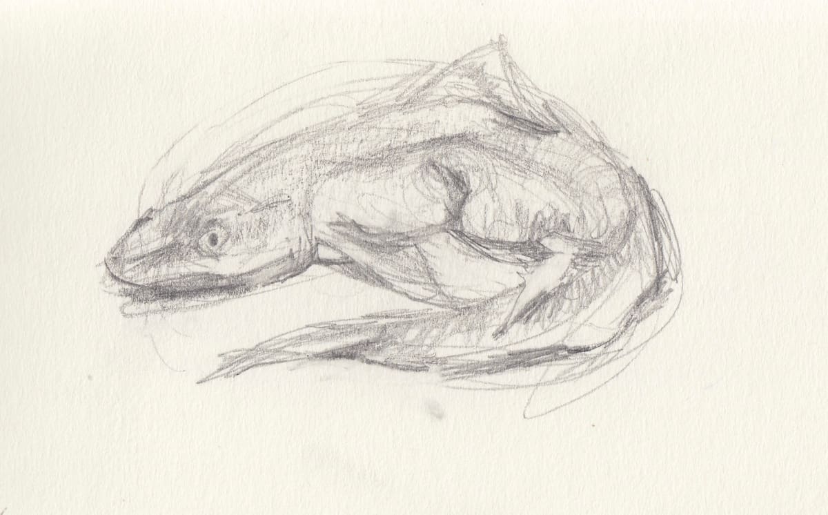 Dogfish by Abby McBride, Image 1.