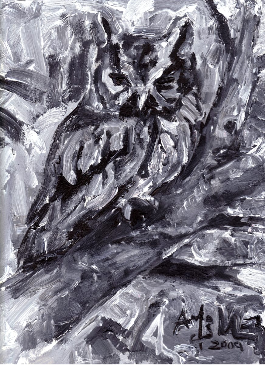 Eastern Screech-Owl 